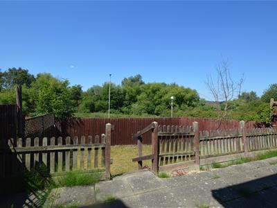 Picture 14